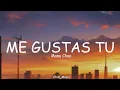 Lagu Manu Chao - Me Gustas Tu (Lyrics) (Loop Video)