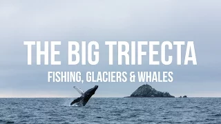 Alaska Bound 12: Seward Trifecta – Fishing, Glaciers & Whales