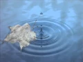 Sitting With Breath -