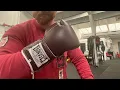 Casanova Boxing Gloves Review