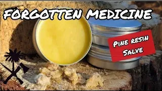 Forgotten Medicine Pine Resin Making a Pine Resin Salve