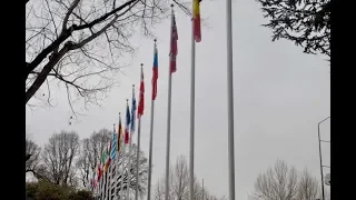 the old south african flag flies proudly in australia