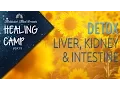 Download Lagu Sound \u0026 Color Therapy for Liver, Kidney \u0026 Intestine Detox | Healing Camp #Day 9