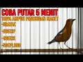 Download Lagu CUKUP 5 MENIT BUAT GACOR ANIS MERAH ANDA YANG MACET DENGAN SUARA NRATAK NGECIP NGECIS INI