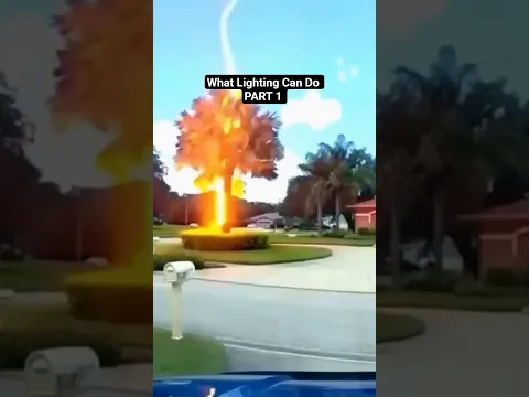 Natural Lighting Disasters 🤯 #shorts #natural #lightning