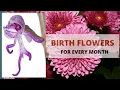 Birth Flowers By Month And Meaning Birth flower andmeaning