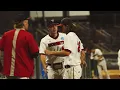 Lynchburg Baseball Leather Appreciation 4K