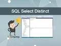 SQL Select Distinct - Basic Example
