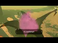 Cut Scene for When You Open a Fairy Fountian BOTW