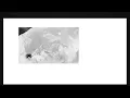 Ludovico Einaudi - Nuvole Bianche (Official Visualiser)