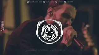 اصوات كتير حلوه لكن دماغ مفيش 