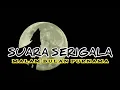 Download Lagu Suara Serigala Saat Bulan Purnama Horor Dan Menyeramkan