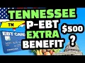 P EBT 2022 TENNESSEE EXTRA SNAP BENEFITS FOR DECEMBER 2022 DEPOSIT DATES
