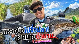 ตกปลาหมายนี้ระวังหลงทาง เข้าไปแล้วกลับออกมาไม่ได้ ตกปลาช่อนหมายสวยหมายดังในตำนาน