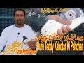 Download Lagu Teddy Kabotar Ki Pehchan|Ustad Ahmed Qambar|Informative Video|Asal Teddy Kabotar|Sakhi Waley Teddy|
