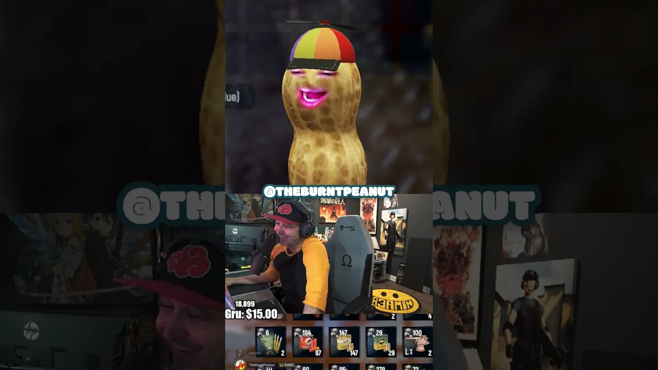 Peanut The Parrot