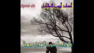 عشرون عاما فوق درب الهوى 