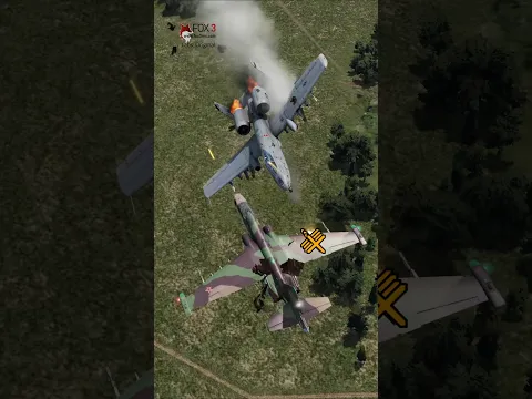 A-10's Last Stand #DCS