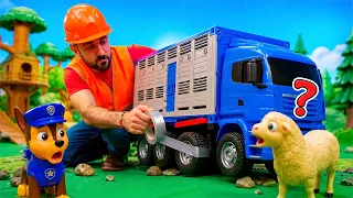 Köpek Devriyesi ile Çiftlik Kurtarma! Hayvan Taşıma Kamyonu, Patlayan Lastik ve Ekip Çalışması