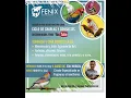 Download Lagu Cría y Tenencia de Aves Exóticas - Edu Moratal