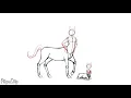 Centaur animation process