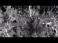 3D Fractal Matrix Unity VRC Shader