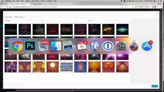 Avada Theme Options Logo