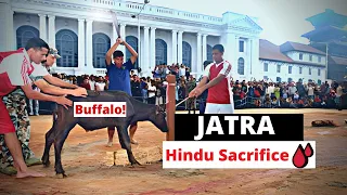 Download Hindu Ceremony Jatra in NEPAL... (Tradition or Religious Practice) MP3