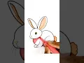 How to colour rabbit