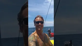 Nothing like spinnaker sailing.