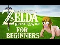 THE LEGEND OF ZELDA Breath Of The Wild FOR BEGINNERS