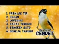 Lagu MASTERAN CENDET MATERI PRENJAK TIR, CILILIN, LOVEBIRD, KAPAS TEMBAK,  TENGKEK BUTO, GEREJA TARUNG