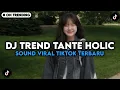 Lagu DJ TREND TANTE HOLIC VIRAL TIKTOK TERBARU 2026