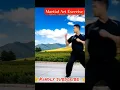 Download Lagu Demo for Martial Art Exercise 🫴🫳