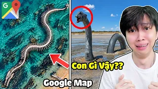 10 Loài Động Vật Khổng Lồ Bí Ẩn Được Tìm Thấy Trên GOOGLE MAP !!