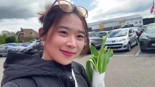 Download Day Trip to Tulip Fields in the Netherlands :TULIPS EXPERIENCE AMSTERDAM / TULIPS BARNS (DAILY VLOG) MP3