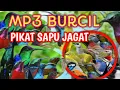Download Lagu Buktikan Sendiri! Suara Pikat Burung Kecil yang Bikin Burung Datang Bergerombol#terbuktiampuh