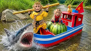 Baby Monkey Bim Bim Shark Fishing Adventure 🦈Rescues a Cute Duckling with Puppy | Funny Animal Story
