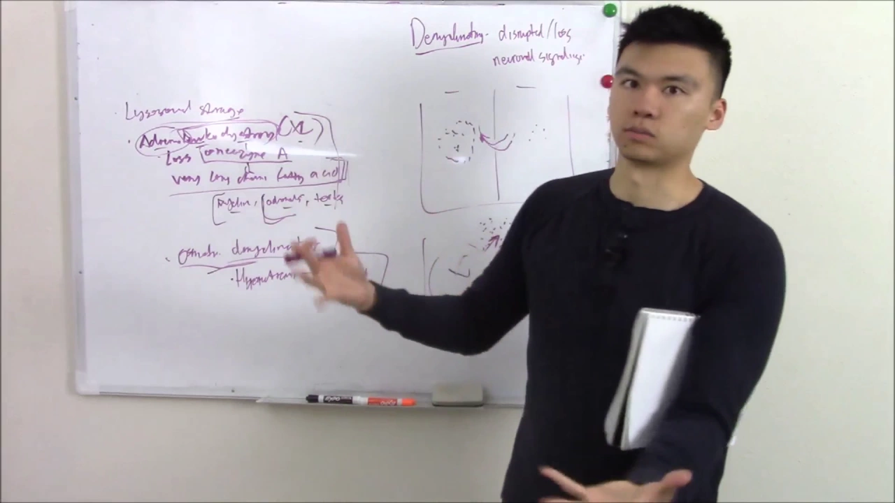 USMLE Neurology 22 Neuro Pathology: Demyelinating Diseases (MS, Guillain-Barre and More)