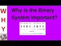 Relevance of the Binary System