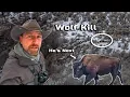 Lagu The Wolf Lie: Why I Hunt in Yellowstone (Solo Camping)