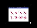 Preprocessing II - Feature Transformations