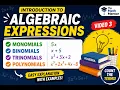 Monomials Binomials Trinomials Polynomials Introduction to Algebraic Expressions QuickRevision
