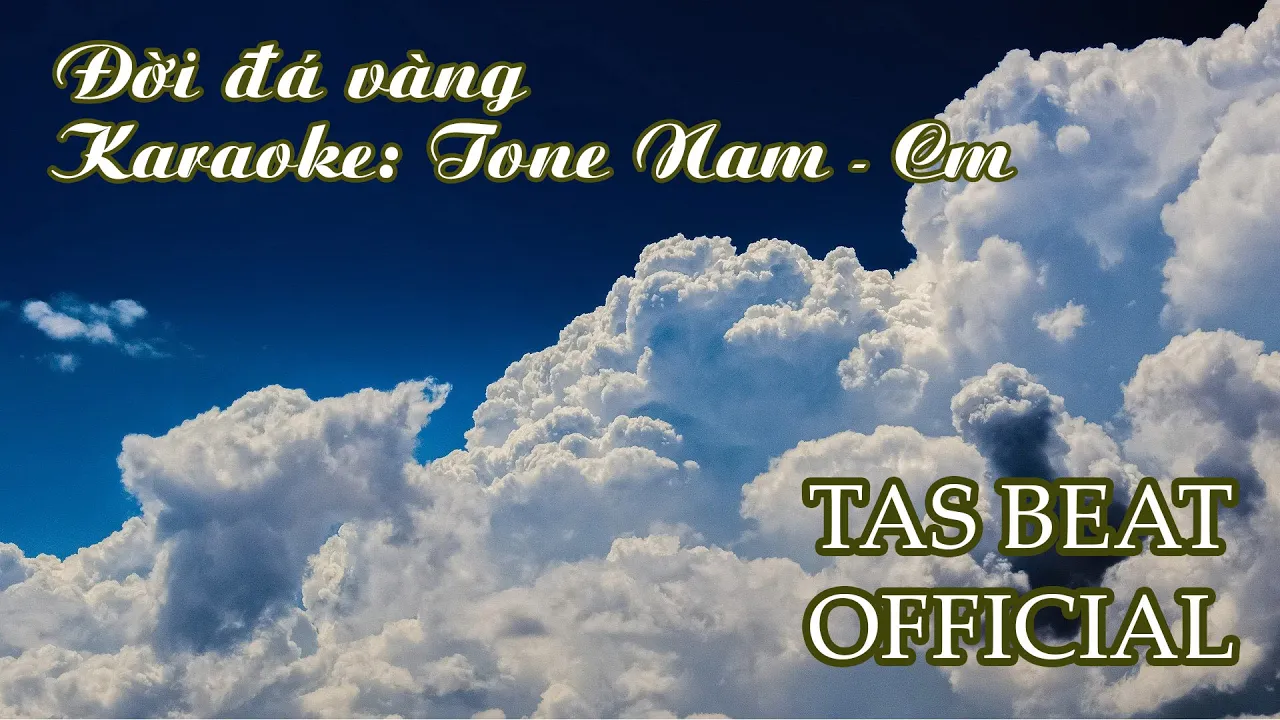 Karaoke Đời đá vàng - Tone Nam | TAS BEAT