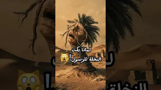 لماذا بكي جذع النخلة لسيدنا محمد Shorts  لماذا بكي جذع النخلة لسيدنا محمد Shorts