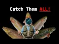 EVERYTHING You Need to Know About Stocked Trout Fishing