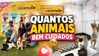 CONHECEMOS O INSTITUTO CARAMELO 🧡🐕