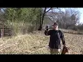 How I Spent the Apocalypse DIY More Bamboo and Haying Goats