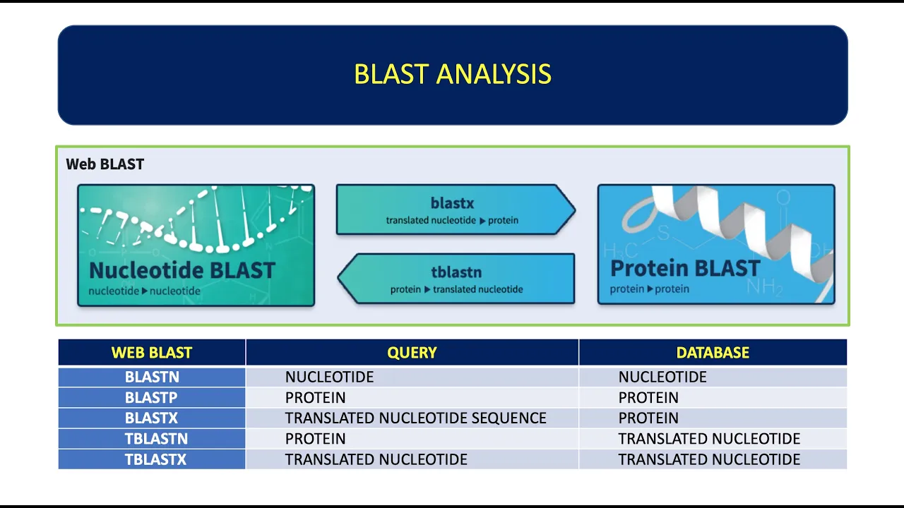 How To Analyze DNA Sequence Using BLAST | Basic Local Alignment Search Tool 👨🏻‍💻🧬