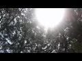 Eclipse in Louisiana